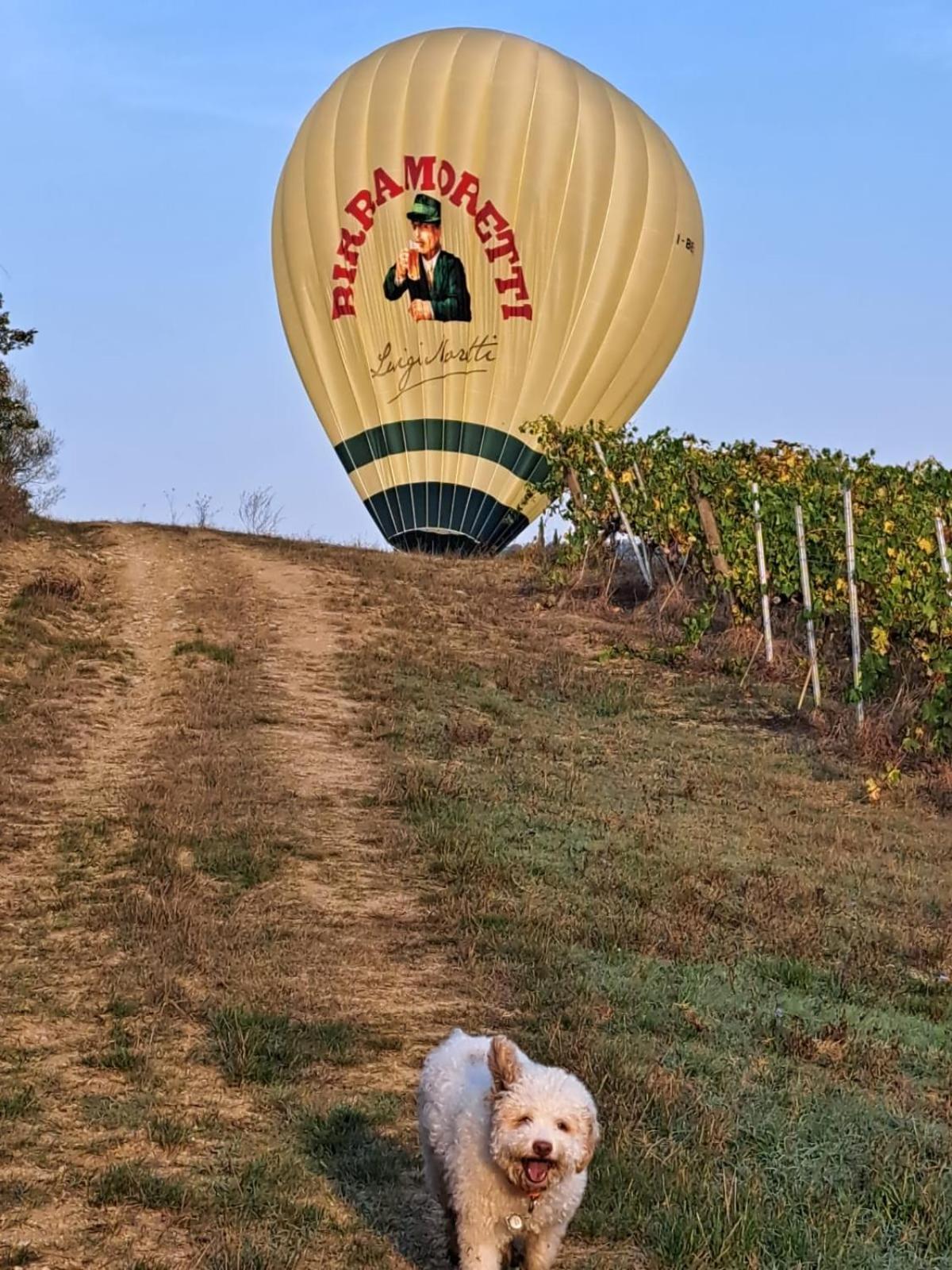 Podere Fichereto Tuscany Apartment In Florence Countryside สกันดิชชี ภายนอก รูปภาพ