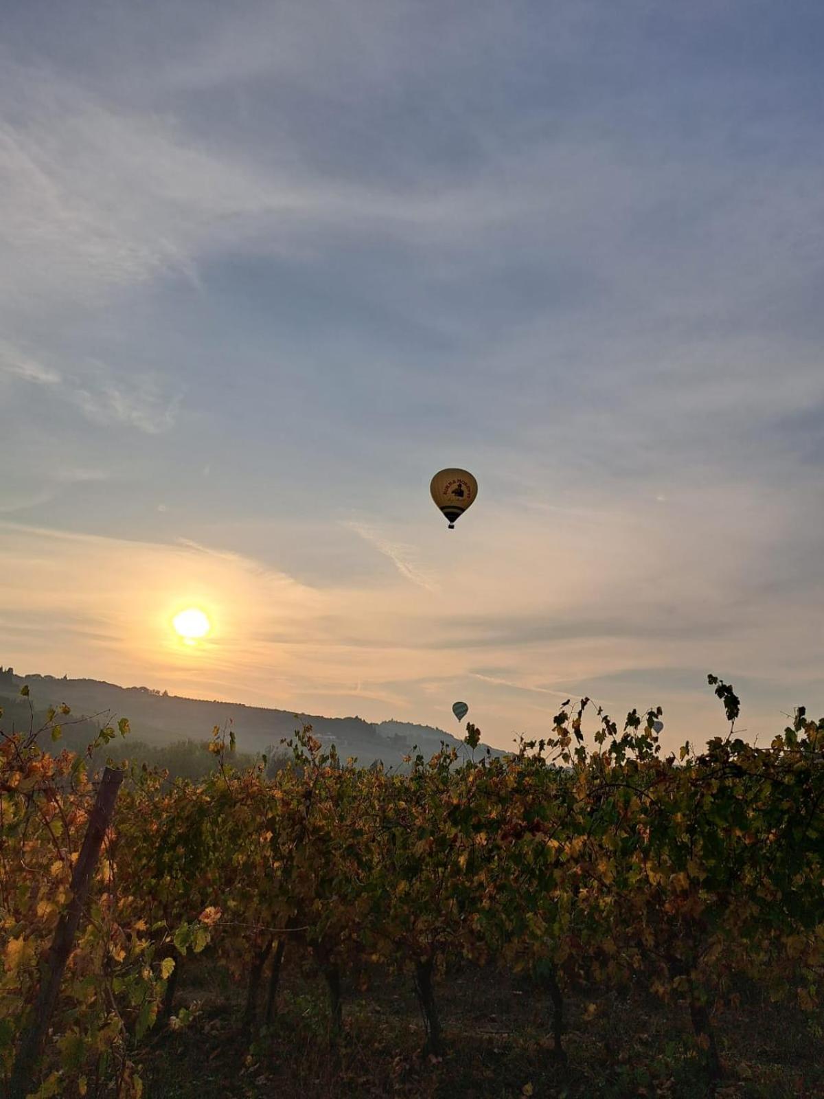 Podere Fichereto Tuscany Apartment In Florence Countryside สกันดิชชี ภายนอก รูปภาพ